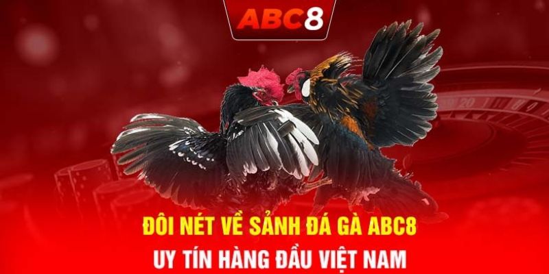 Thông tin cập nhật mới về sảnh đá gà ABC8