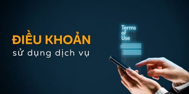 Cập nhật chính sách điều khoản