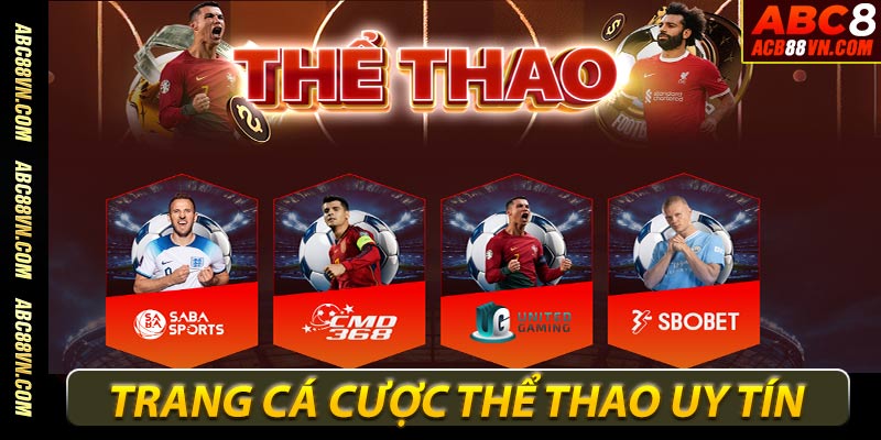 Trang cá cược thể thao trực tuyến uy tín